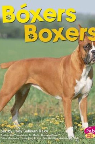 Cover of B�xers/Boxers