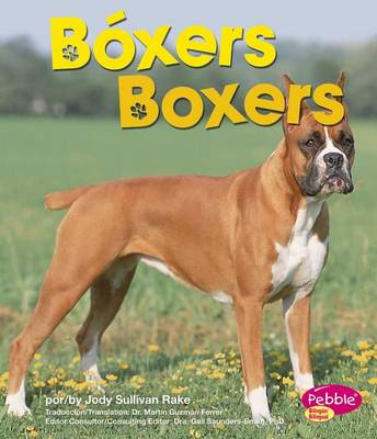 Cover of B�xers/Boxers