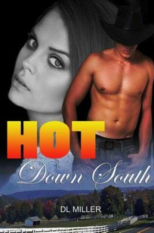 Cover of Hot Down South (husband, wife, cheating, cowboy, kinky, taboo)