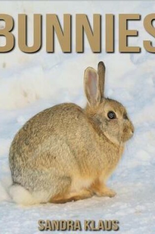 Cover of Bunnies