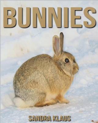 Book cover for Bunnies