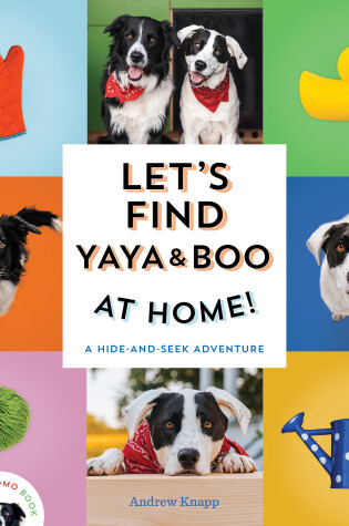 Cover of Let's Find Yaya and Boo at Home!