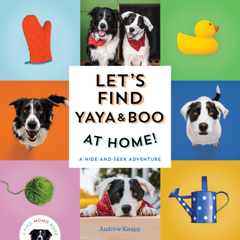 Book cover for Let's Find Yaya and Boo at Home!