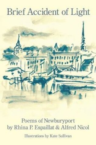 Cover of Brief Accident of Light