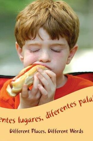 Cover of Diferentes Lugares, Diferentes Palabras/Different Places, Different Words