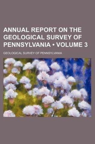 Cover of Annual Report on the Geological Survey of Pennsylvania (Volume 3)