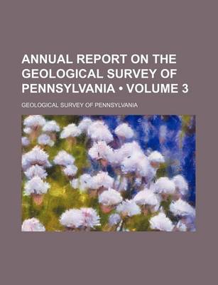 Book cover for Annual Report on the Geological Survey of Pennsylvania (Volume 3)