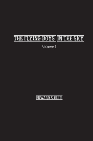 Cover of The Fly Boys in the Sky