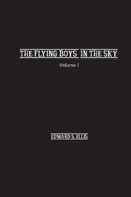 Book cover for The Fly Boys in the Sky