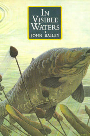 Cover of In Visible Waters