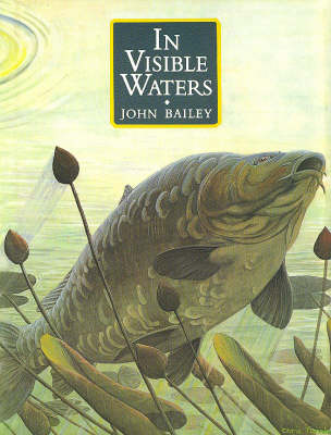 Book cover for In Visible Waters