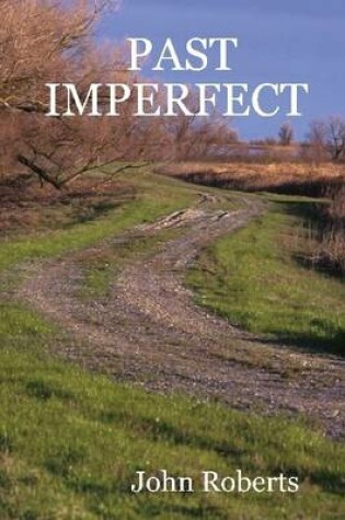 Cover of Past Imperfect