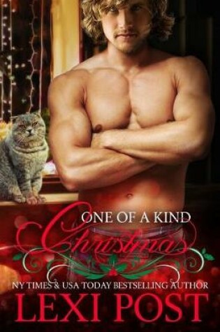 Cover of One of a Kind Christmas