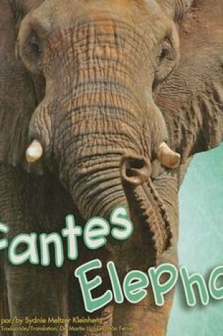 Cover of Elefantes/Elephants