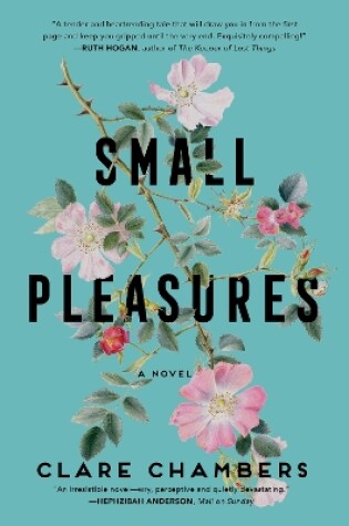 Cover of Small Pleasures