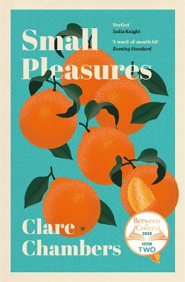 Book cover for Small Pleasures