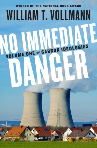 Book cover for No Immediate Danger