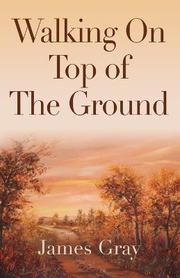 Book cover for Walking on Top of the Ground