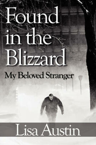 Cover of Found in the Blizzard