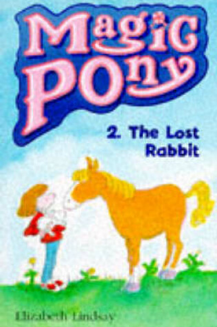 Cover of The Lost Rabbit