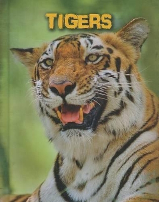 Book cover for Tigers