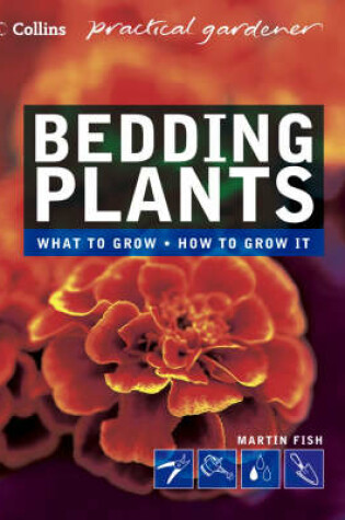 Cover of Bedding Plants