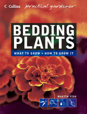 Book cover for Bedding Plants