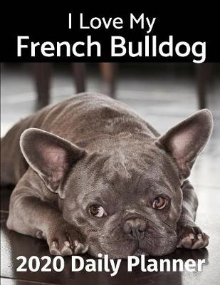 Book cover for I Love My French Bulldog