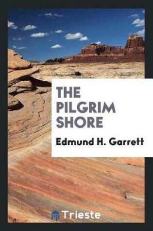 Cover of The Pilgrim Shore