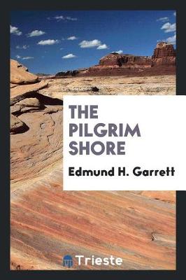 Book cover for The Pilgrim Shore