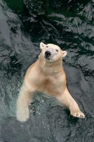 Cover of The Swimming Polar Bear Journal