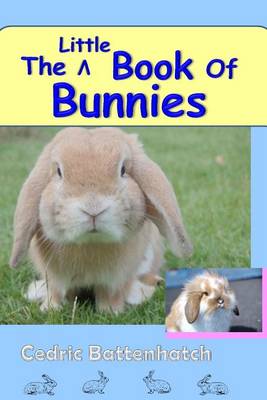 Book cover for The Little Book of Bunnies