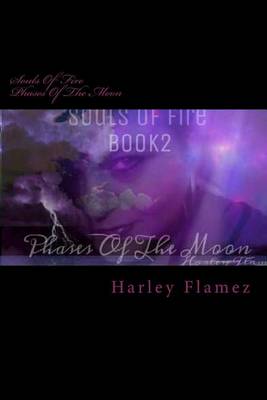 Book cover for Souls Of Fire
