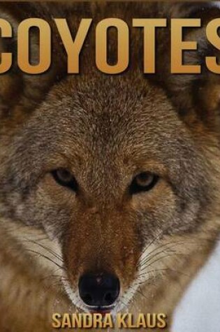 Cover of Coyotes