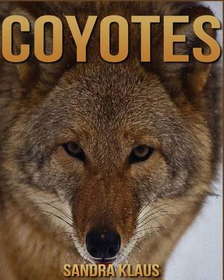 Book cover for Coyotes