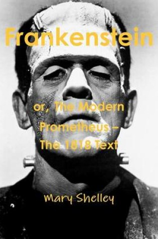 Cover of Frankenstein or the Modern Prometheus - The 1818 Text