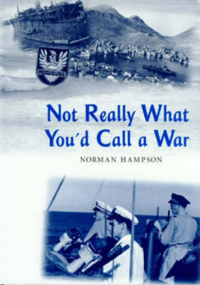 Book cover for Not Really What You'd Call a War