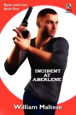 Book cover for Incident at Aberlene