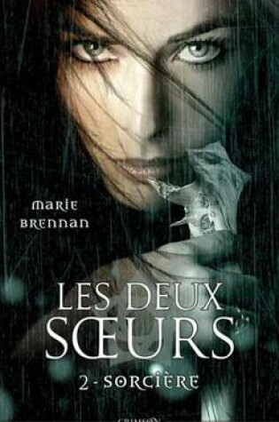 Cover of Les Deux Soeurs T02