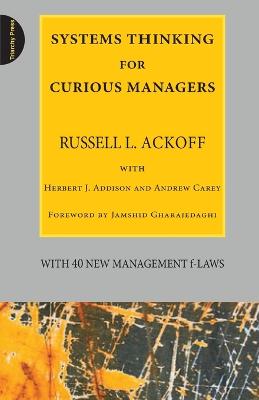 Book cover for Systems Thinking for Curious Managers