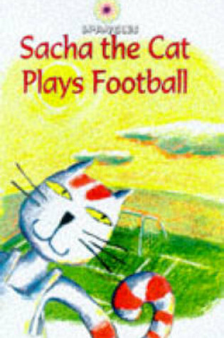 Cover of Football Socks