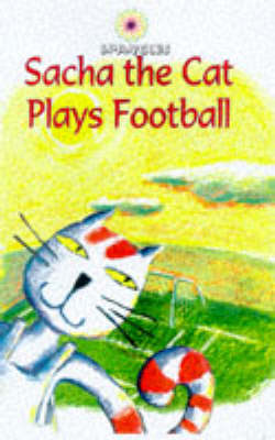 Book cover for Football Socks