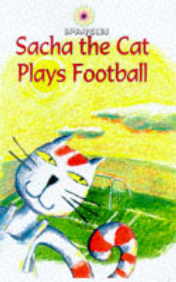 Cover of Football Socks