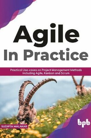 Cover of Agile Methodologies In-Depth