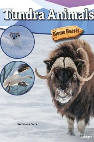 Cover of Tundra Animals