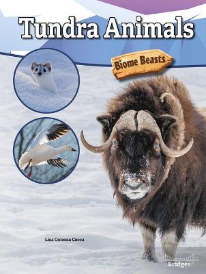 Cover of Tundra Animals