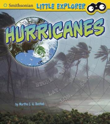 Book cover for Hurricanes (Little Scientist)