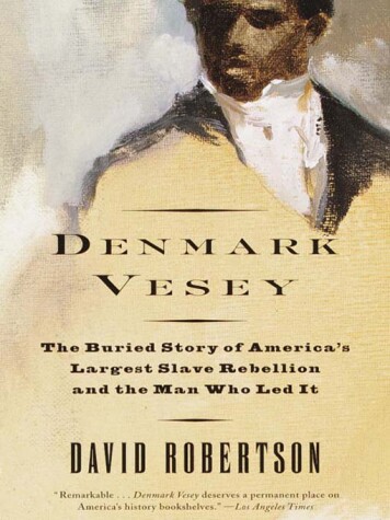 Book cover for Denmark Vesey