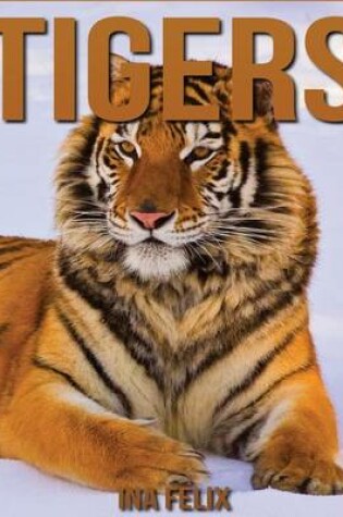 Cover of Tigers