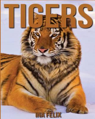 Book cover for Tigers